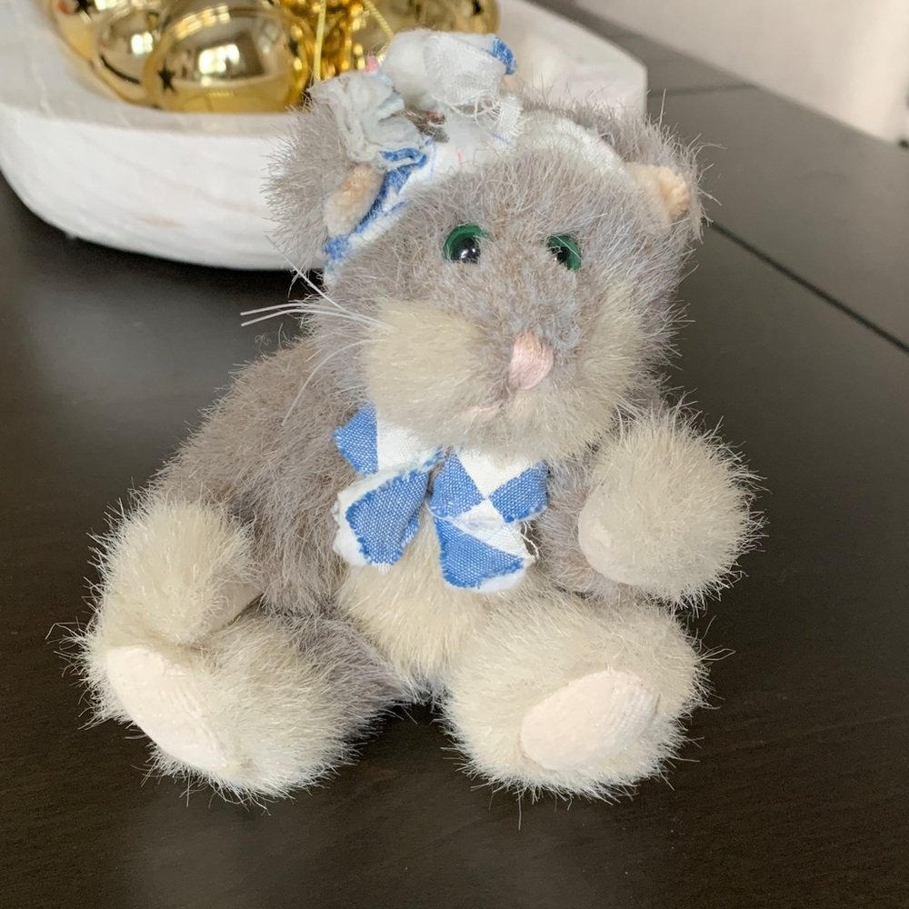 The Boyds cat